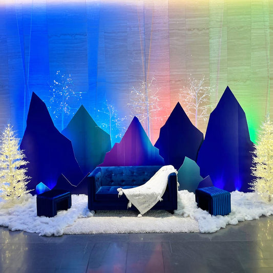 Aurora Northern Lights Holiday Backdrop Set