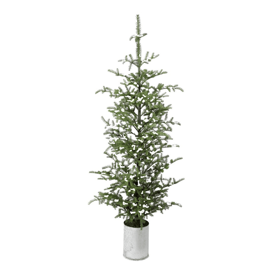 Potted Real Touch Flocked Noble Fir Tree